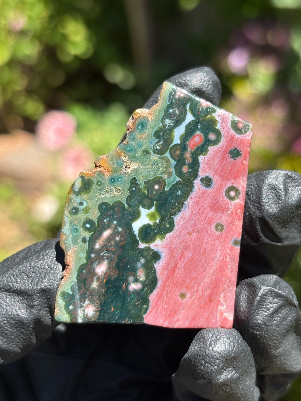 Discounted* Ocean Jasper Crystal Freeform with Chips - Polished Sea Jasper